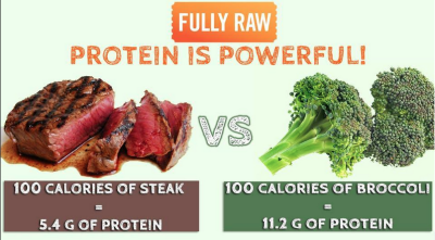 raw food diet