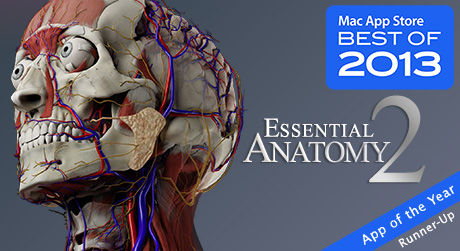 3d4medical essential anatomy